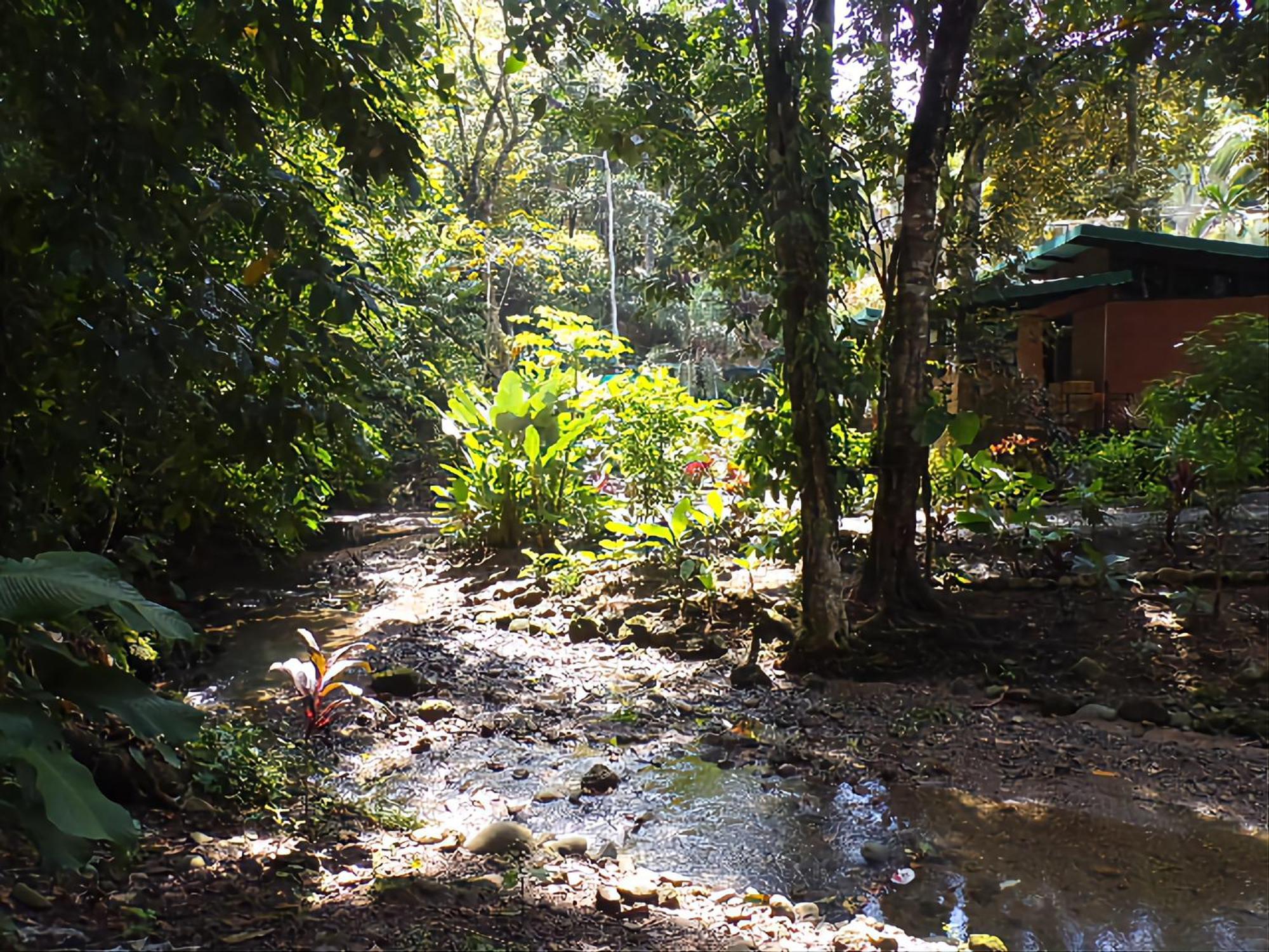 Riverside Villas Manuel Antonio Eksteriør billede