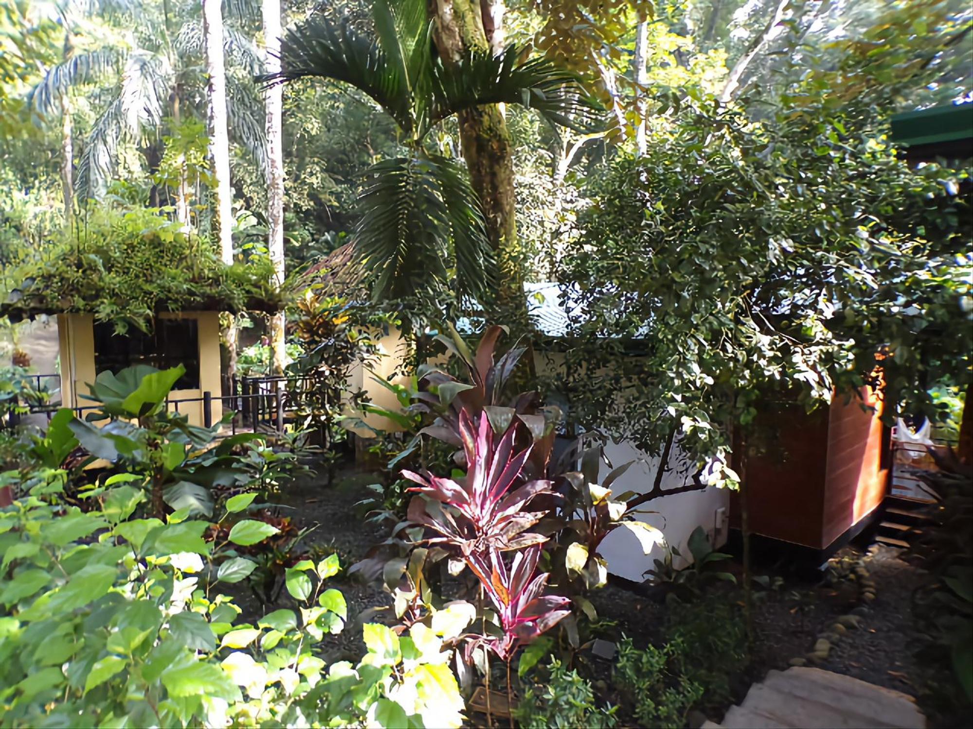 Riverside Villas Manuel Antonio Eksteriør billede