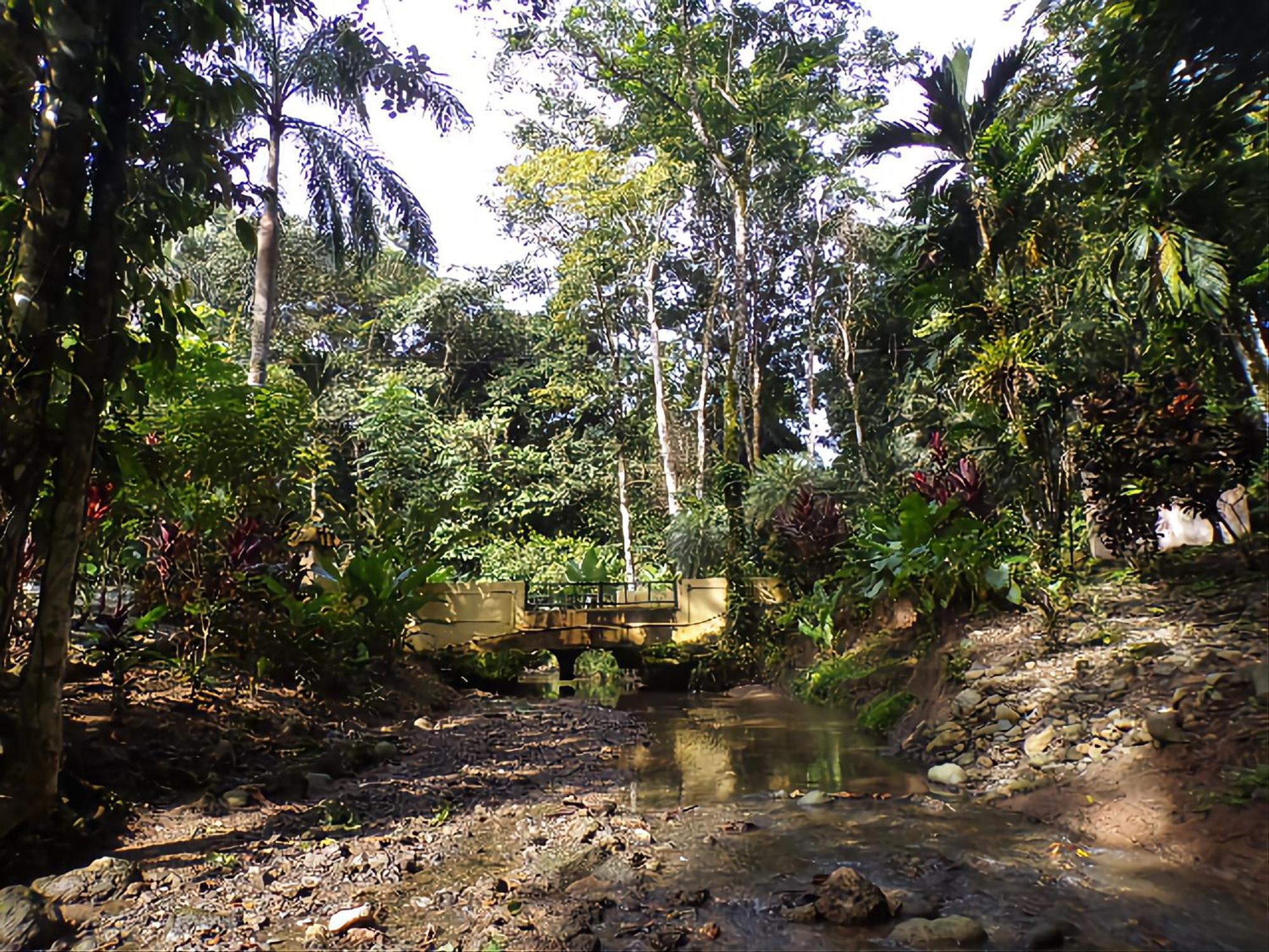 Riverside Villas Manuel Antonio Eksteriør billede