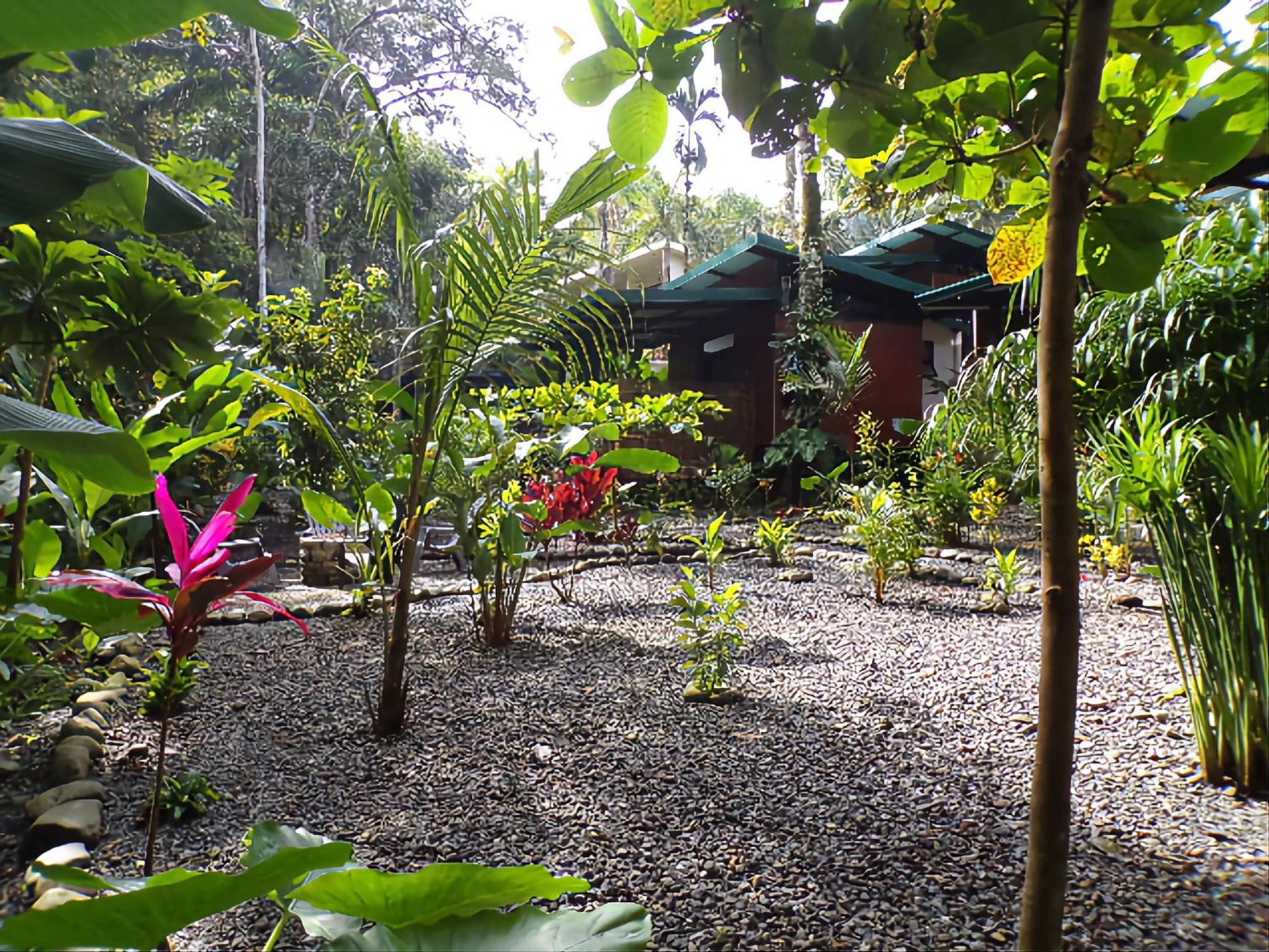 Riverside Villas Manuel Antonio Eksteriør billede