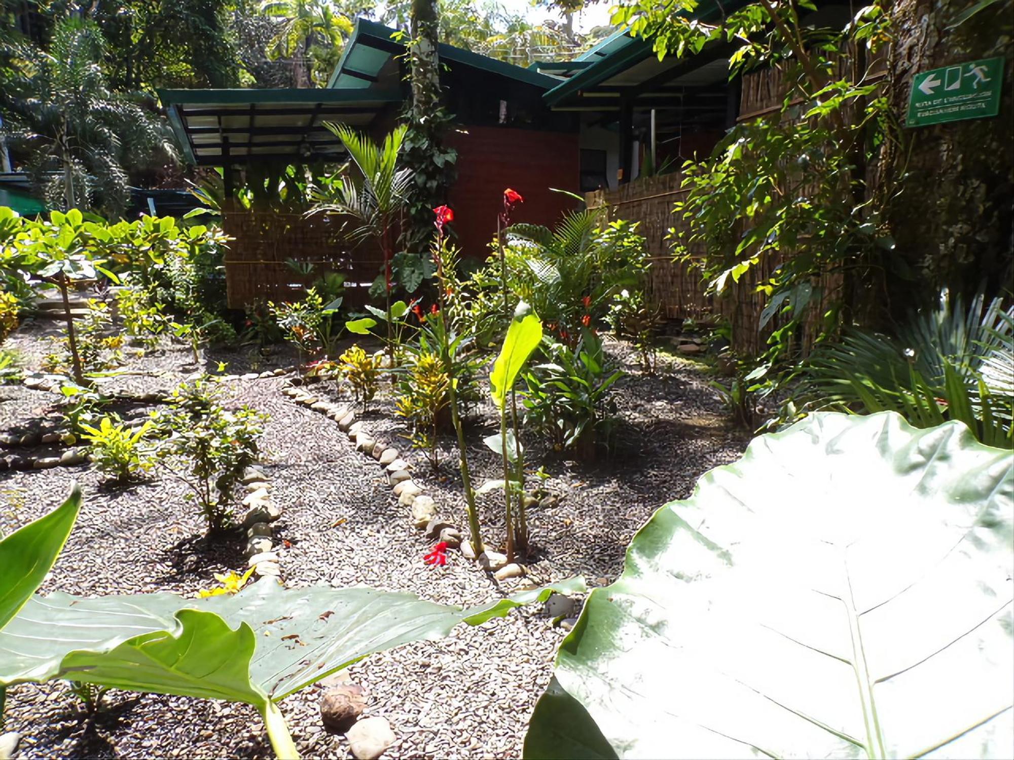 Riverside Villas Manuel Antonio Eksteriør billede