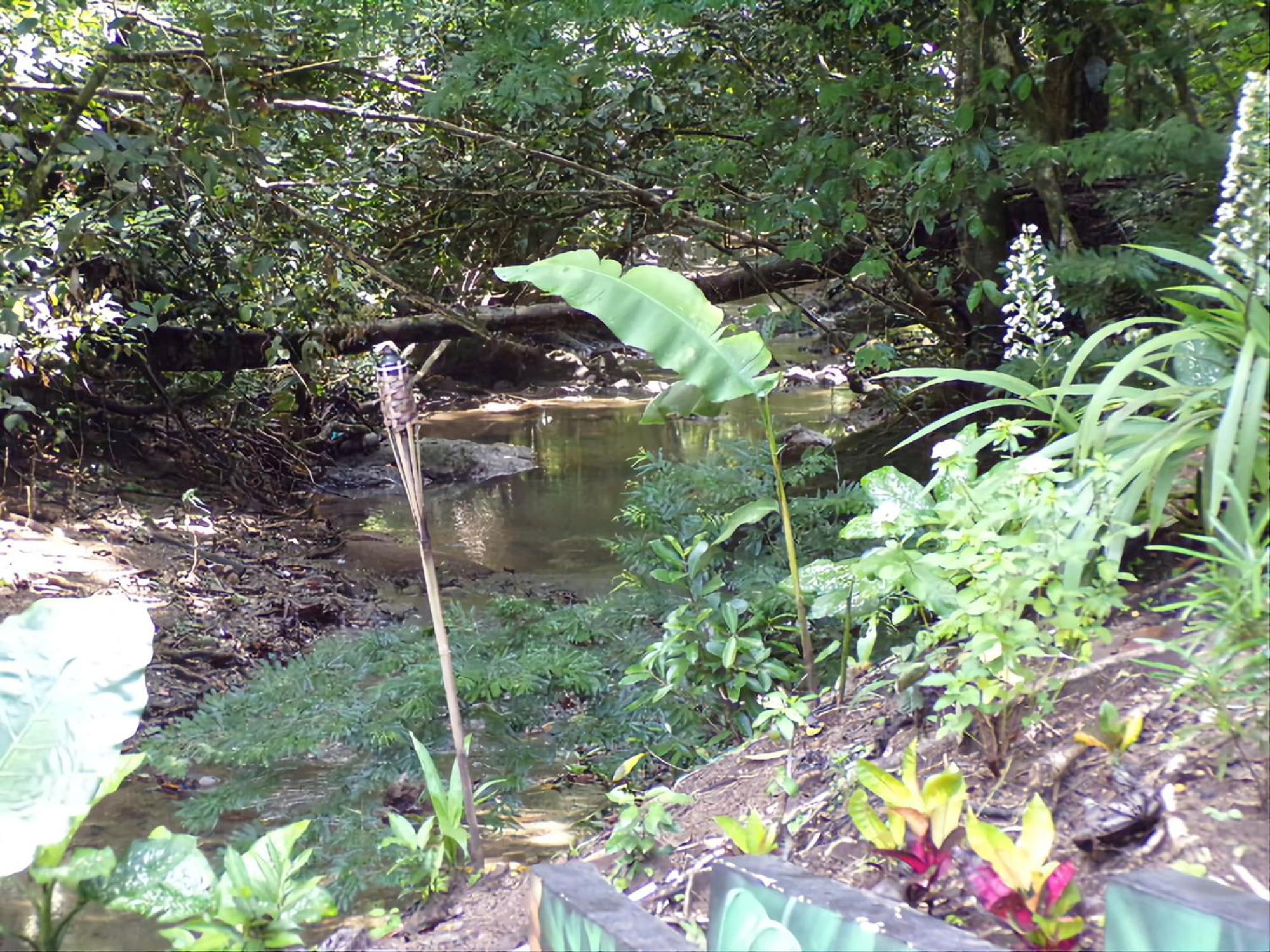 Riverside Villas Manuel Antonio Eksteriør billede